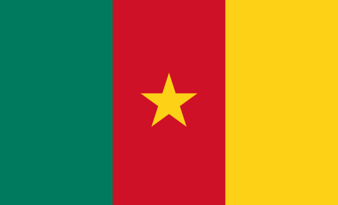 nationalflagge-kamerun.svg